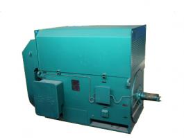 YKK、YXKK高壓三相異步電動(dòng)機(jī)高壓電機(jī)6KV 10KV高壓電機(jī)